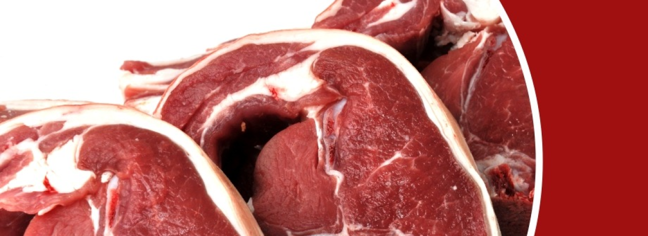 Summer collection background