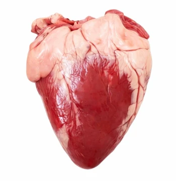 Серце барана