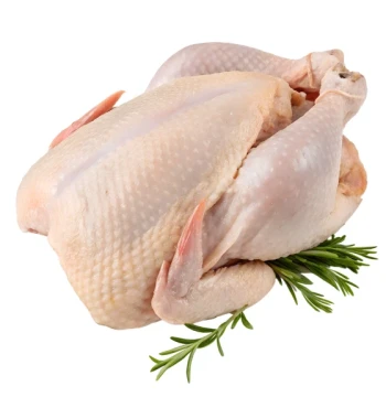 Тушка куряча фабрика